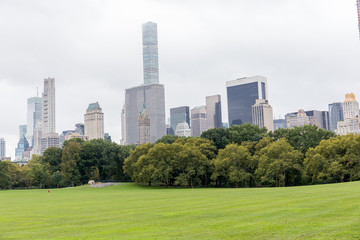 Fototapeta premium urban scene with trees in city park and skyscrapers in new york, usa