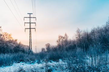 Frozen snowy winter forest where there is a power line