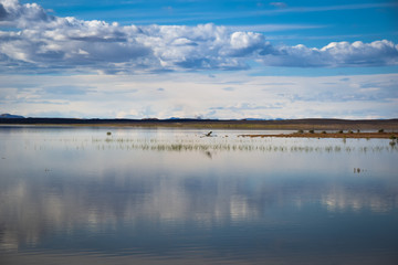 Dayet Srid lake in Merzouga, Morocco