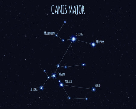 Canis Major (The Great Dog) constellation, vector illustration with the names of basic stars against the starry sky