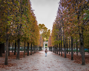 Autumn in Tuileries garden in Paris