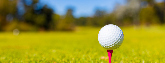 Golf Ball on a Tee at a Golf Course