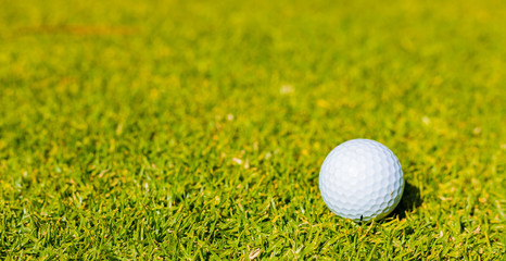 Golf Ball on a Fairway green at a golf course