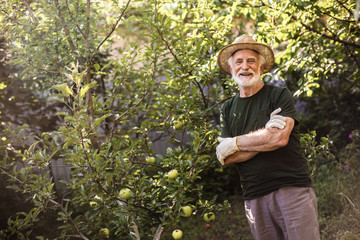 Smiling man standing in garden with his arms crossed