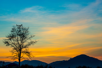 Obraz na płótnie Canvas The morning sun light behind the mountains and the tree.