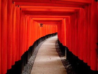 Fotobehang Torii Gate Repetition © KSWan