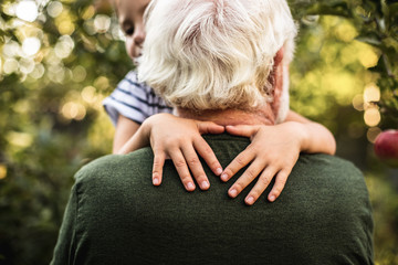 Grandfather standing back to camera and holding his grandchild