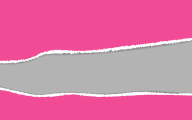 Obraz premium Ripped paper. Vector of ripped paper. the paper was ripped background.