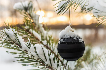 Christmas ball hanging on the Christmas tree in the winter forest