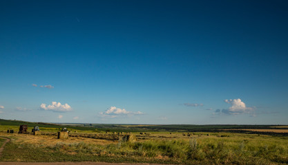 Obraz premium Agricultural machinery removes hay and bales in the fields. Clear sunny summer weather.