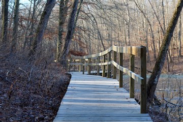 Obraz premium The white frost cover the wood boardwalk trail in forest.