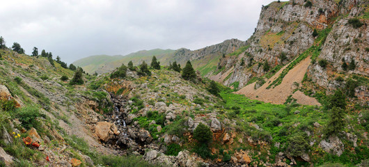 Mountain gorge in spring