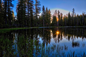 Sun star at Sunrise Through Trees on a Lake