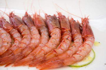 Marinated red shrimps appetizer Sicily Italy
