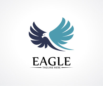 Eagle Bird logo design vector concept, Bird logo template