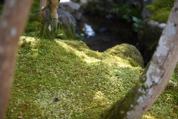 京都東山のお寺