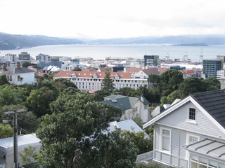 Fototapeta na wymiar Buildings in Wellington. city of New Zealand.