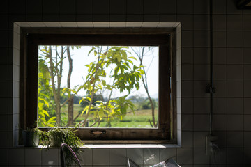 window with trees flowers