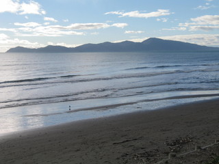 Beach in Wellington, New Zealand. Oceania