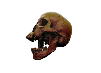 Human skull on White Background. The concept of death, horror. A symbol of spooky Halloween. 3d rendering illustration.Scan SCSU VizLab https://www.thingiverse.com/scsuvizlab/about - (CC Attribution)