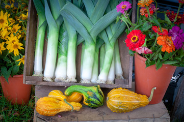 Gotland Harvest Festival 2018