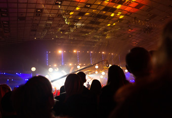 Silhouette of a concert crowd. The audience looks towards the stage.