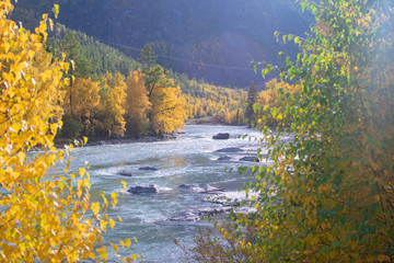 River | Mountain Altai