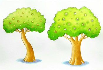  The green trees are refreshing.