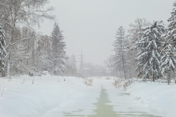 Winter park. View of the frozen canal 