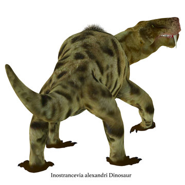 Inostrancevia Dinosaur Tail with Font - Inostrancevia was a carnivorous cat-like dinosaur that lived in Russia during the Permian Period.