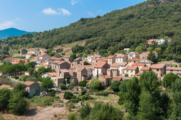 Fototapeta na wymiar Roquebrun-Ceps
