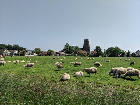 Ransdorp, Niederlande