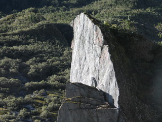 New Zealand. Nature  in Franz Joseph Glacier. Oceania