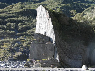 New Zealand. Nature  in Franz Joseph Glacier. Oceania