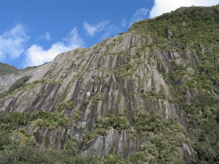 New Zealand. Nature  in Franz Joseph Glacier. Oceania