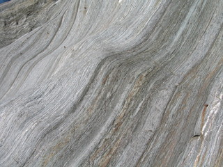 New Zealand. Nature  in Franz Joseph Glacier. Oceania