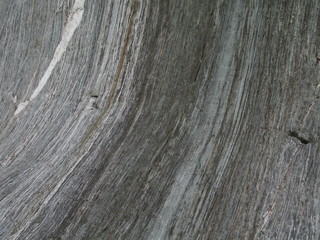 New Zealand. Nature  in Franz Joseph Glacier. Oceania