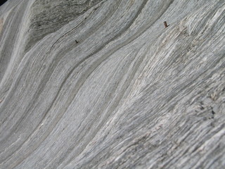New Zealand. Nature  in Franz Joseph Glacier. Oceania