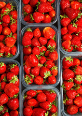 Close up of fresh red ripe strawberries in transparent plastic container boxes