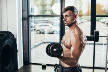 Fototapeta na wymiar handsome shirtless sweaty sportsman training with dumbbells in gym