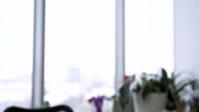 Passing file folder from hands to hands on fuzzy, office window background, teamwork concept. Two young hands of colleagues give each other blue folder.