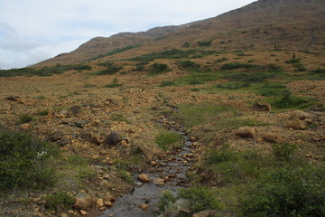 People Hiking in Gros Morne National Park