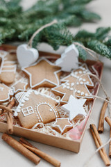 Christmas homemade gingerbread cookies