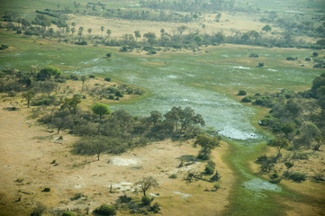 Fototapeta na wymiar aereal view of okavango delta