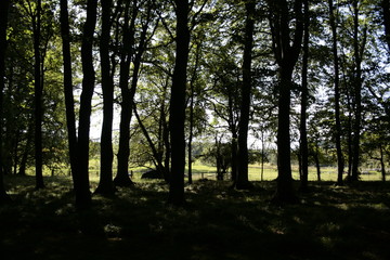 france loire chartre 