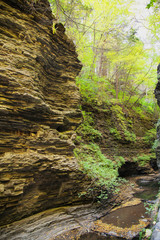 watkins glen national park