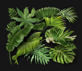 Vector banner with green tropical leaves on green - 240031867