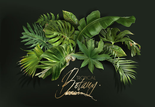 Vector banner with green tropical leaves on green