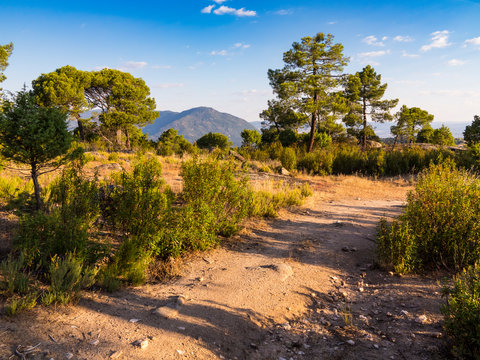 Camino entre pinos y pico casillas en el fondo. Madrid. Espa&ntilde;a. Europa.
