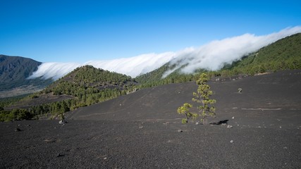 La Palma